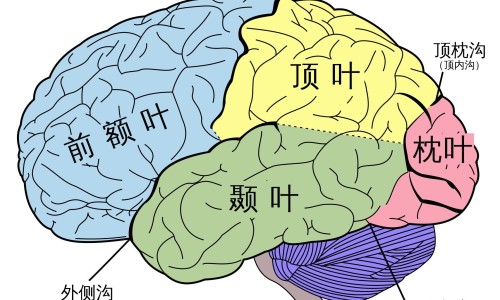 血透室病人健康指导表-血透患者的健康宣教ppt专区_血透室健康宣教计划表专区_血透室病人健康指导网